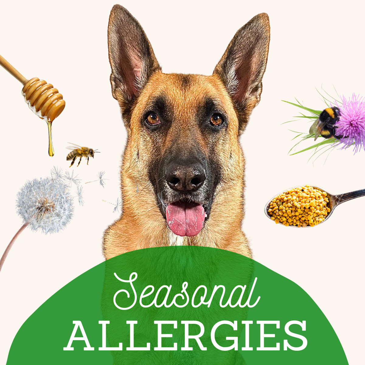 Seasonal Allergies eBook