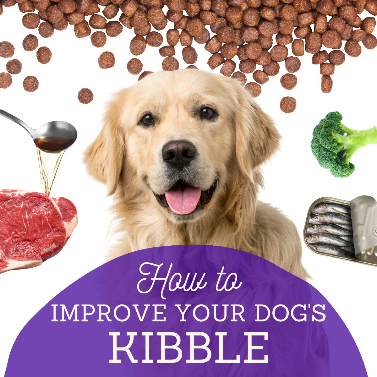 How To Improve Your Dog's Kibble eBook