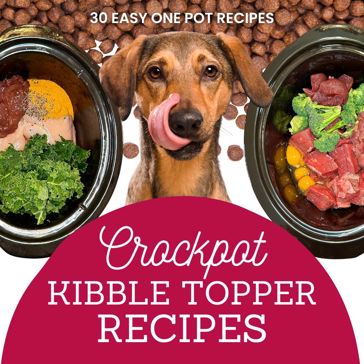 Crockpot Kibble Topper Recipes eBook