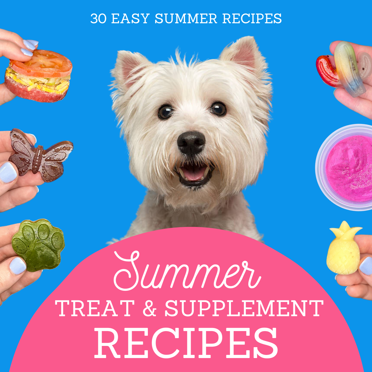 Summer Treat & Supplement Recipes eBook