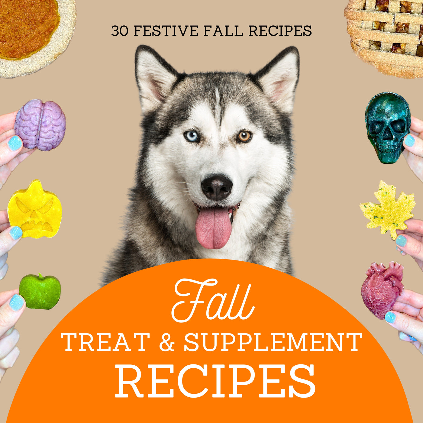 Fall Treat & Supplement Recipes eBook