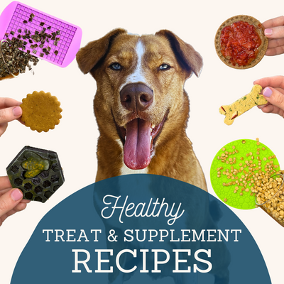 Healthy Treat & Supplement Recipes eBook